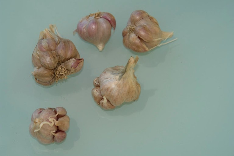 Garlic - Australian Series